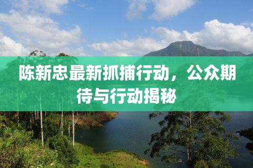 陈新忠最新抓捕行动，公众期待与行动揭秘