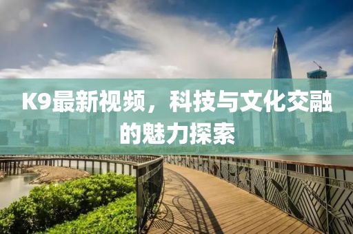 K9最新视频，科技与文化交融的魅力探索