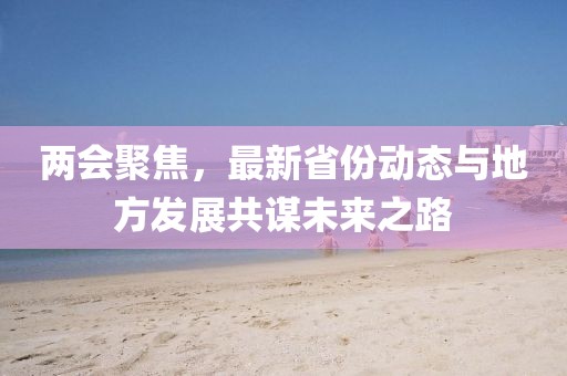 两会聚焦，最新省份动态与地方发展共谋未来之路