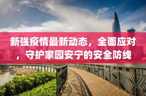 新强疫情最新动态，全面应对，守护家园安宁的安全防线