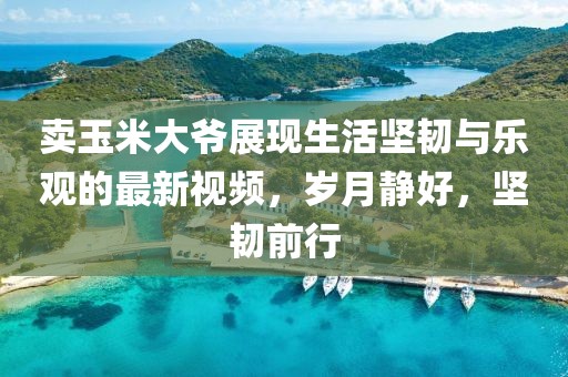 卖玉米大爷展现生活坚韧与乐观的最新视频，岁月静好，坚韧前行