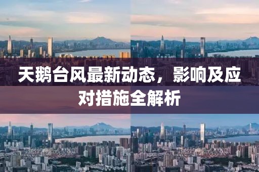 天鹅台风最新动态，影响及应对措施全解析