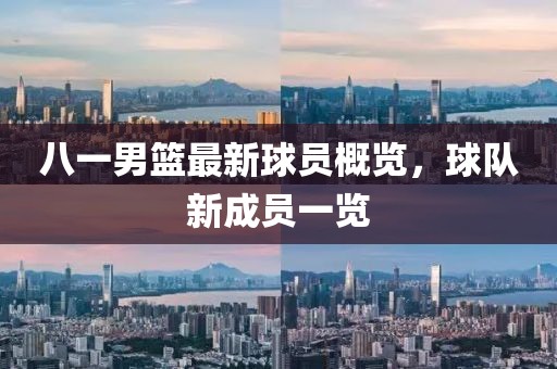 八一男篮最新球员概览，球队新成员一览