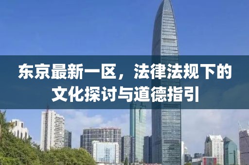 东京最新一区，法律法规下的文化探讨与道德指引