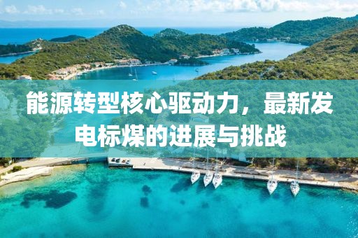 能源转型核心驱动力，最新发电标煤的进展与挑战
