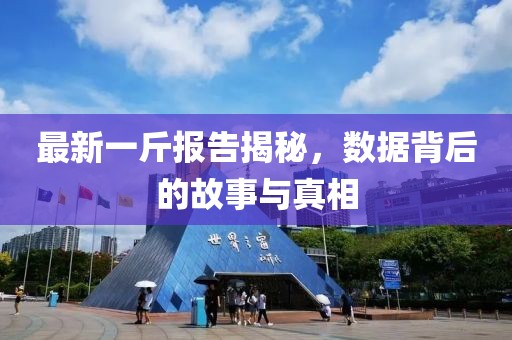 最新一斤报告揭秘，数据背后的故事与真相