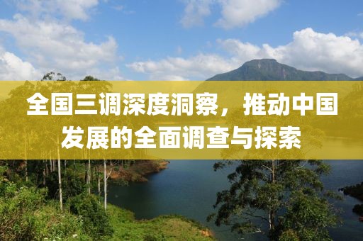 全国三调深度洞察，推动中国发展的全面调查与探索