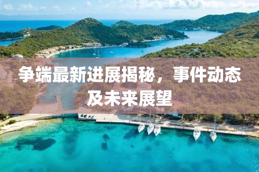 争端最新进展揭秘，事件动态及未来展望