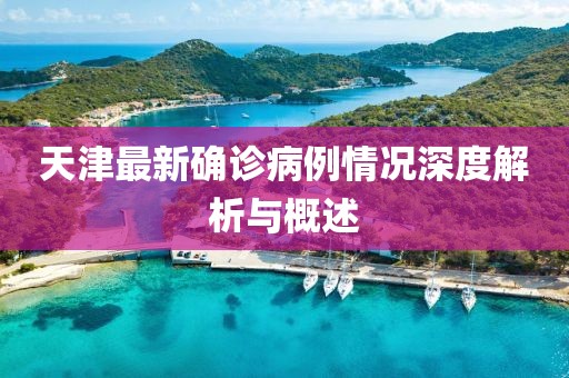 天津最新确诊病例情况深度解析与概述