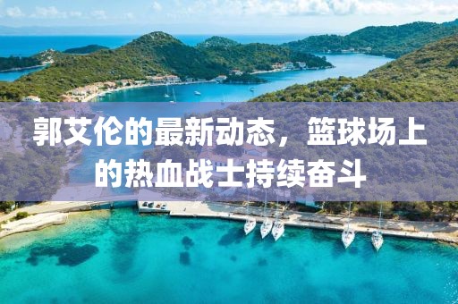 郭艾伦的最新动态，篮球场上的热血战士持续奋斗
