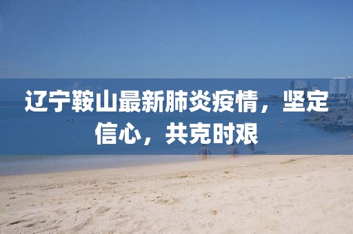 辽宁鞍山最新肺炎疫情，坚定信心，共克时艰