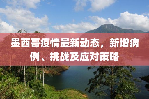 墨西哥疫情最新动态，新增病例、挑战及应对策略