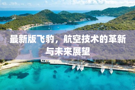 最新版飞豹，航空技术的革新与未来展望