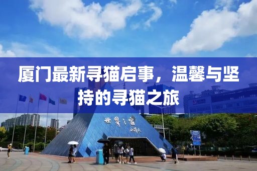 厦门最新寻猫启事，温馨与坚持的寻猫之旅