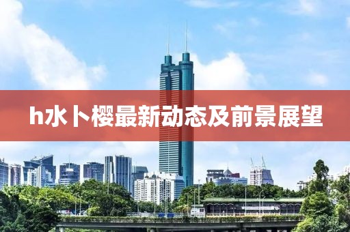h水卜樱最新动态及前景展望