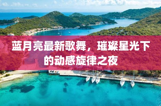蓝月亮最新歌舞，璀璨星光下的动感旋律之夜