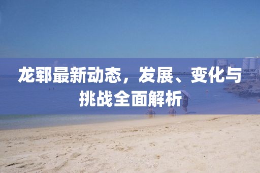 龙郓最新动态，发展、变化与挑战全面解析