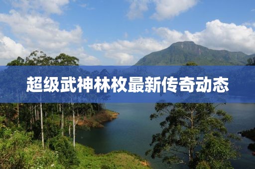 超级武神林枚最新传奇动态
