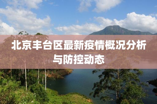北京丰台区最新疫情概况分析与防控动态