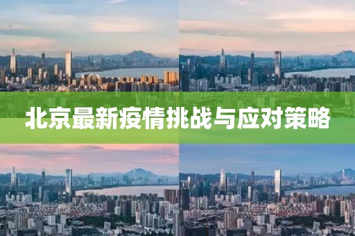 闻妙梦 第5页