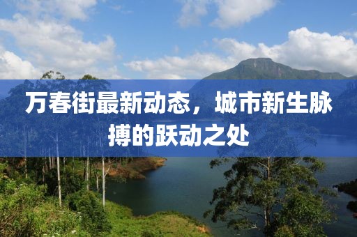 万春街最新动态，城市新生脉搏的跃动之处