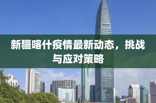 新疆喀什疫情最新动态，挑战与应对策略