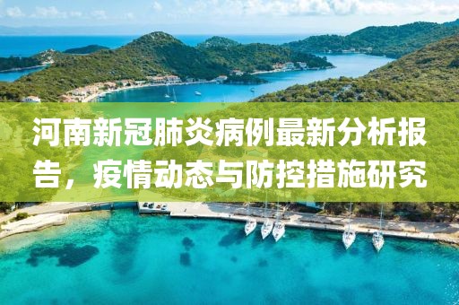 河南新冠肺炎病例最新分析报告，疫情动态与防控措施研究