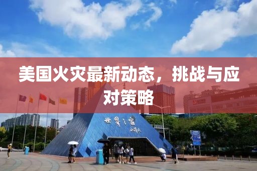 美国火灾最新动态，挑战与应对策略