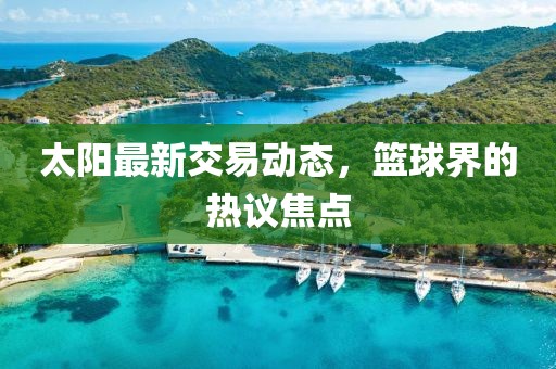 太阳最新交易动态，篮球界的热议焦点