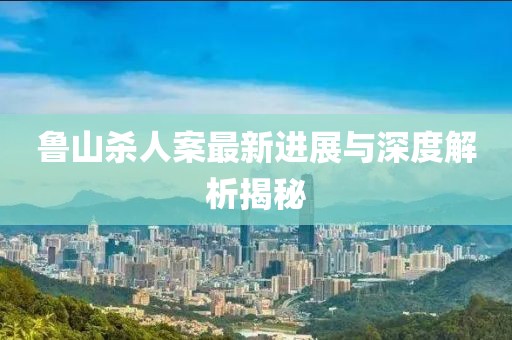 鲁山杀人案最新进展与深度解析揭秘