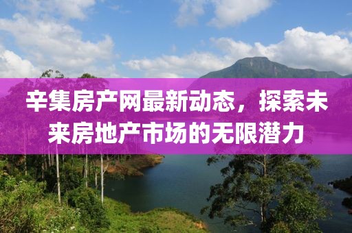 辛集房产网最新动态，探索未来房地产市场的无限潜力