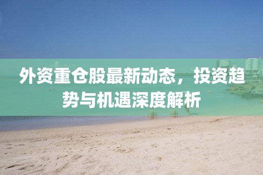 外资重仓股最新动态，投资趋势与机遇深度解析