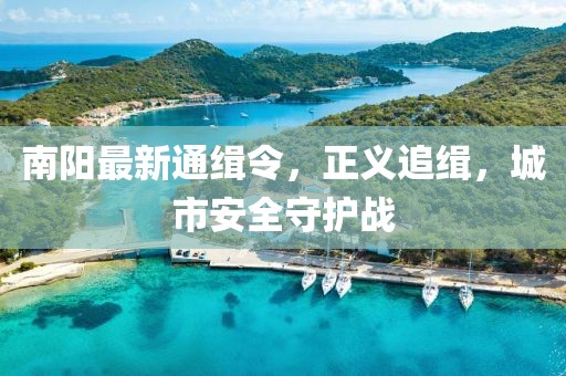 南阳最新通缉令，正义追缉，城市安全守护战