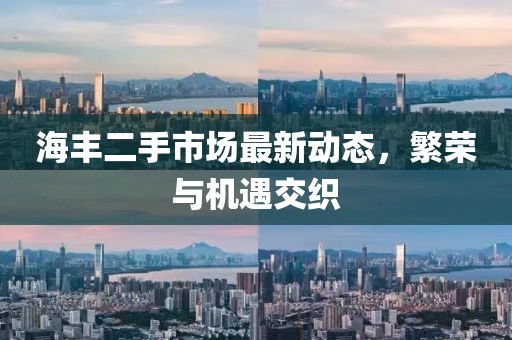海丰二手市场最新动态，繁荣与机遇交织