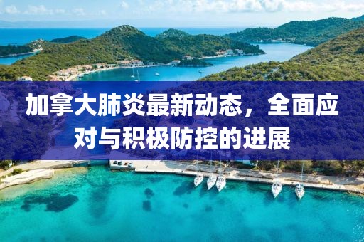 加拿大肺炎最新动态，全面应对与积极防控的进展