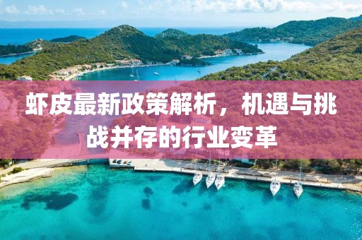 虾皮最新政策解析，机遇与挑战并存的行业变革
