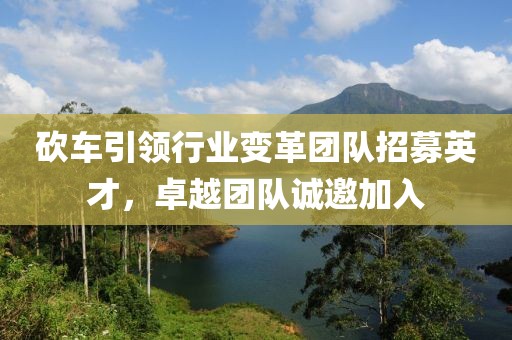 砍车引领行业变革团队招募英才，卓越团队诚邀加入