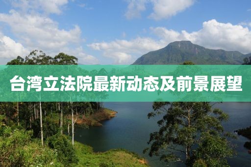 台湾立法院最新动态及前景展望