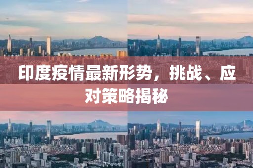 印度疫情最新形势，挑战、应对策略揭秘
