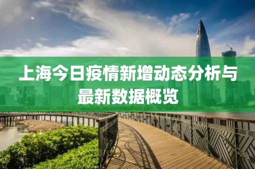 上海今日疫情新增动态分析与最新数据概览