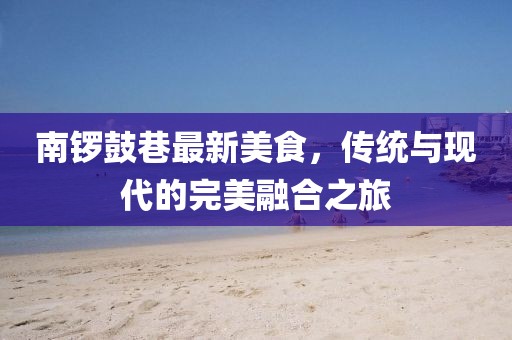 南锣鼓巷最新美食，传统与现代的完美融合之旅