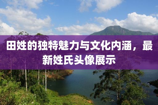 田姓的独特魅力与文化内涵，最新姓氏头像展示