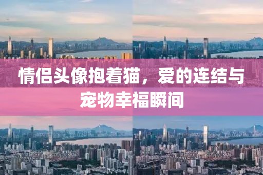 情侣头像抱着猫，爱的连结与宠物幸福瞬间