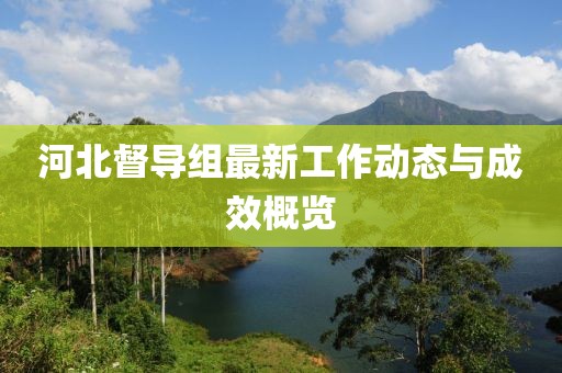 河北督导组最新工作动态与成效概览
