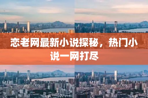 恋老网最新小说探秘，热门小说一网打尽
