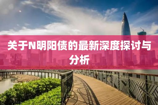 关于N明阳债的最新深度探讨与分析