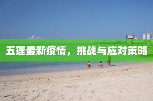 五莲最新疫情，挑战与应对策略