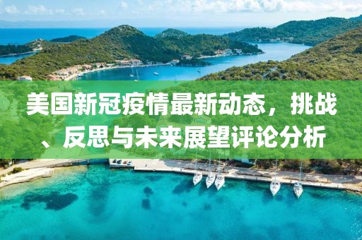 美国新冠疫情最新动态，挑战、反思与未来展望评论分析