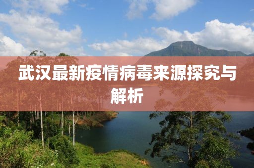 武汉最新疫情病毒来源探究与解析