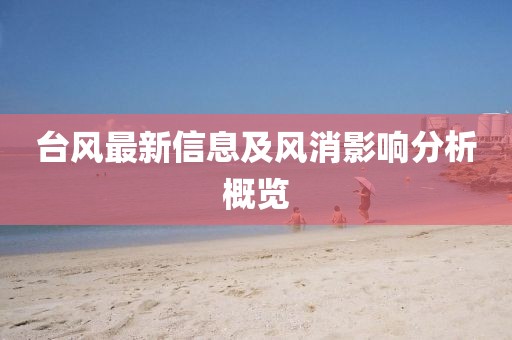 台风最新信息及风消影响分析概览